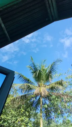 kamu yayangku