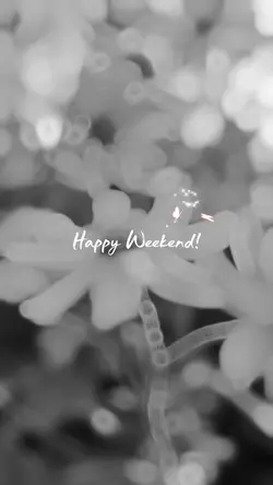 Happy Weekend 