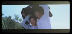 Queen of Tears