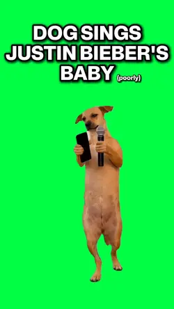 JUSTIN BIEBER BABY