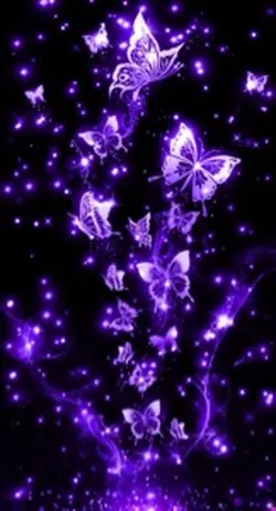 Schmetterling 
