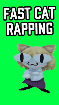 FAST CAT RAPPING