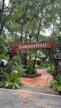 สตอรี่เสียงเพลง