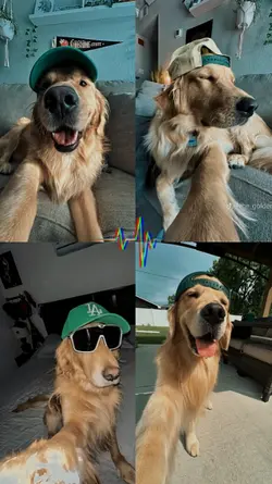 <3