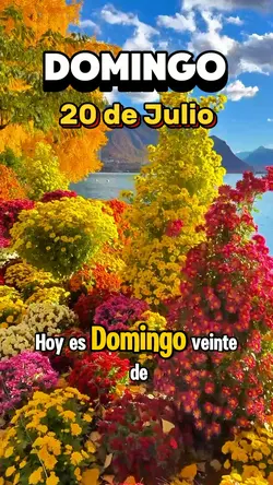 Domingo 20 de Julio