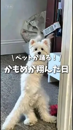 ペットが踊る!かもめが翔んだ日