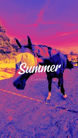 Summer Cowboy 