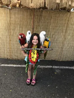 …