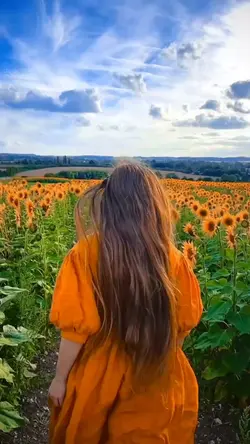 15 Video