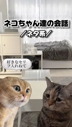ネコちゃん達の会話◆好きなセリフ入れてね