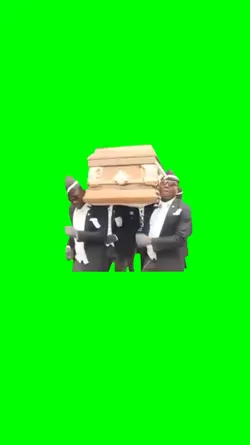 Coffin Dance Meme

