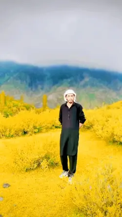 Shoaib ali 875