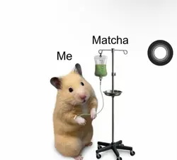 me n matcha 