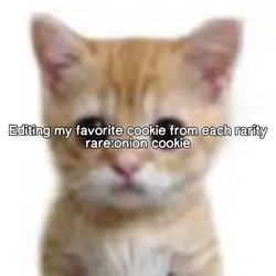 Onion cookie