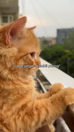 udah jangan diambil