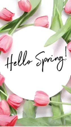Hello Spring