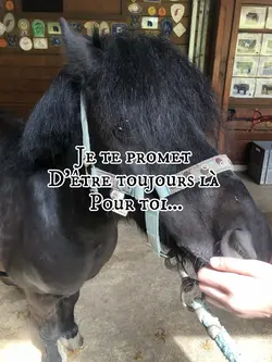 Je te promet…❤️