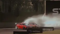 Professional Rally