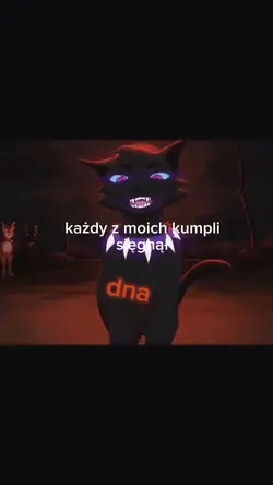 edit wojo