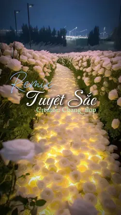 Tuyệt Sắc 2 ảnh