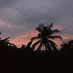 retro vlog