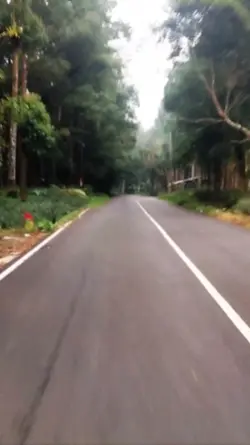 rambutku memutih 