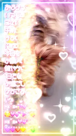 動画1本💕30秒の動画を作成するテンプレ