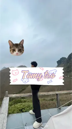 Tomy tèo 