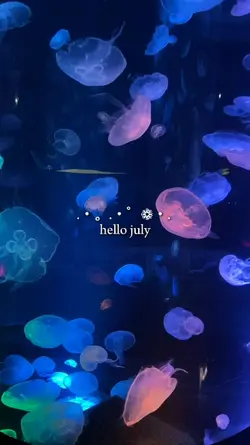 hello july 2024
