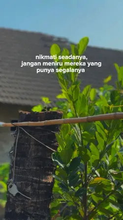 bahan sw