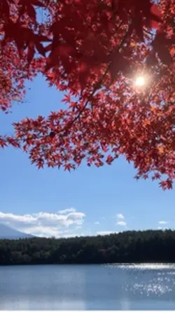 Mount Fuji View