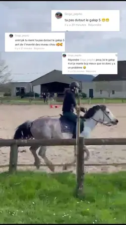 Elle mérite son galo