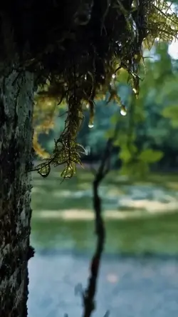 Nature vibes