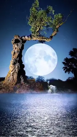 Moon effec