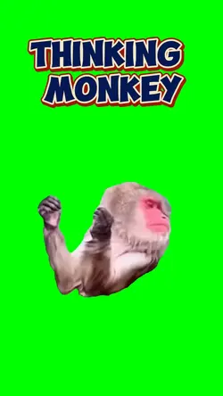 Thinking Monkey