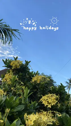 Happy Holidays