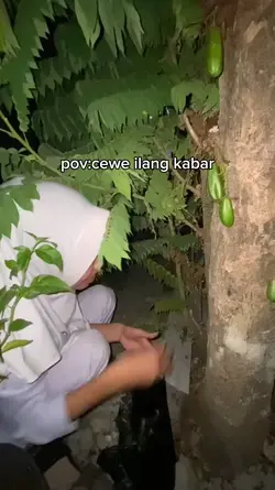 cwe ilang kabar
