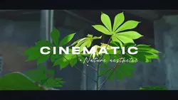 Cinematic Nature HD