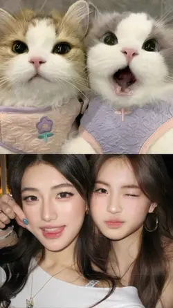 duo bestfriend 