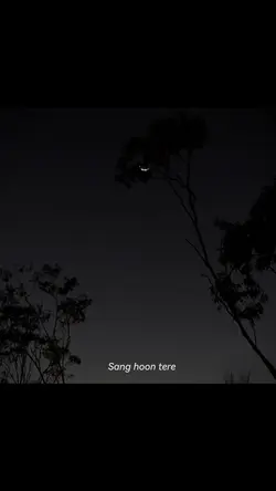 Tujhe souchta hoon