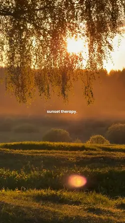 SUNSET THERAPY
