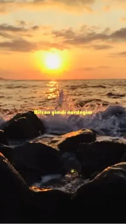 Bilsen şimdi nerdeyi