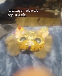 it a orange tabby 