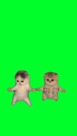 Got that feeling