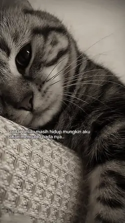 andai beliau masih h