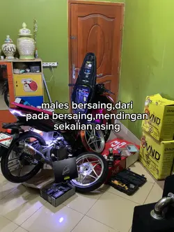 males bersaing