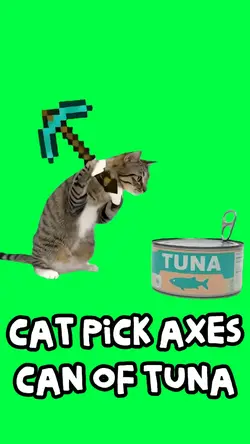 CAT OPENS TUNA CAN