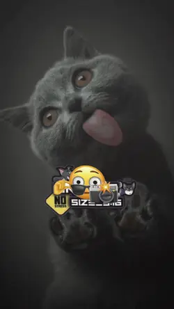 dj Baila baila