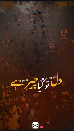دل کیا چیز ہے 