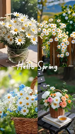 Hello my spring